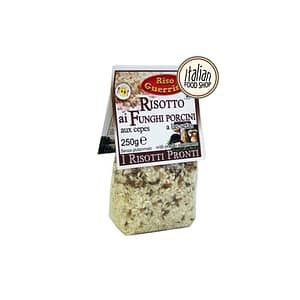 risotto con funghi porcini